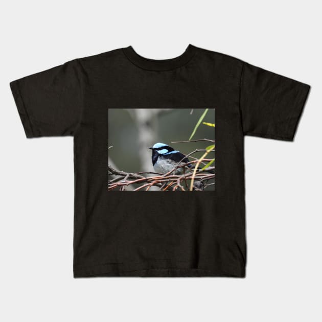 Superb Fairy Wren at the Laratinga Wetlands Kids T-Shirt by claire-l-page